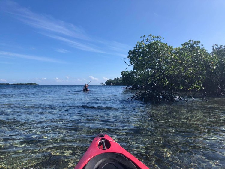 Kayaking around the island