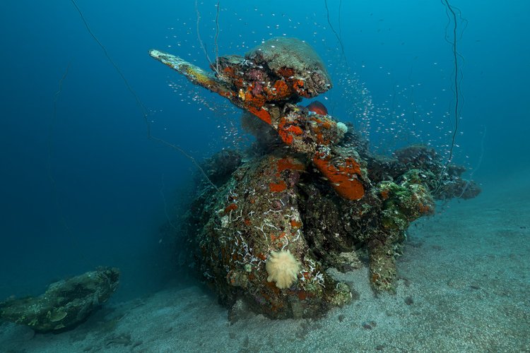WW2 plane wreck dive site