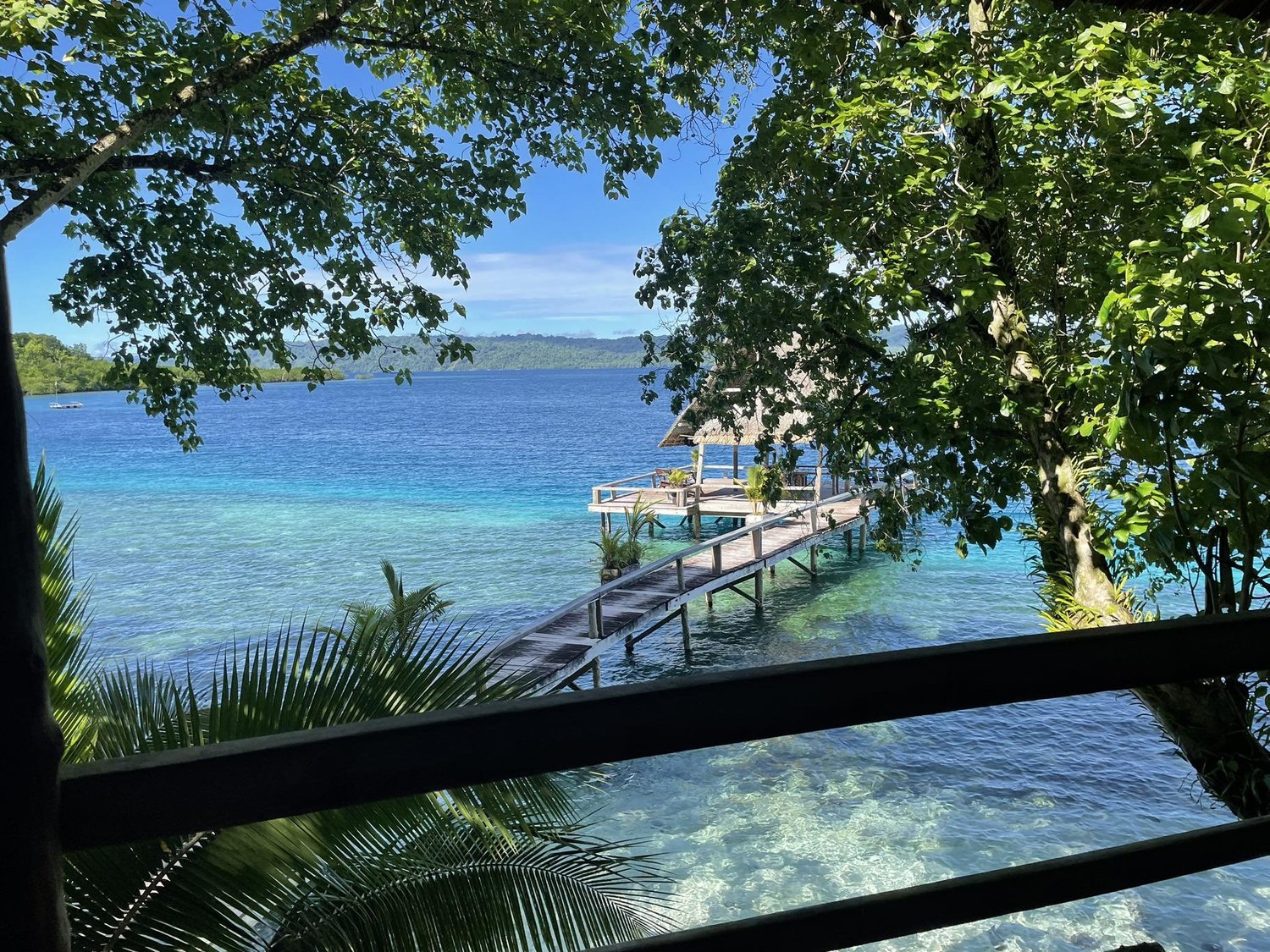 View from the Double Story bungalow at Papatura