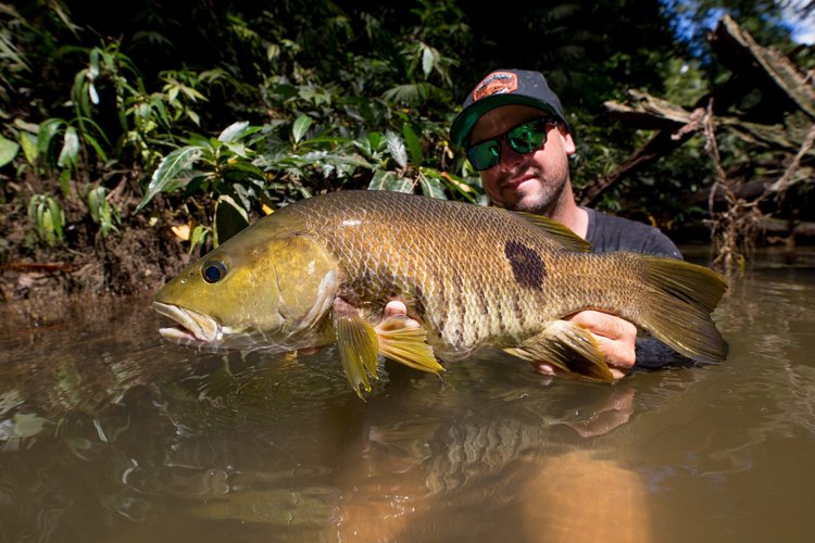 Fish gallery photo 3 from Papatura Island Retreat