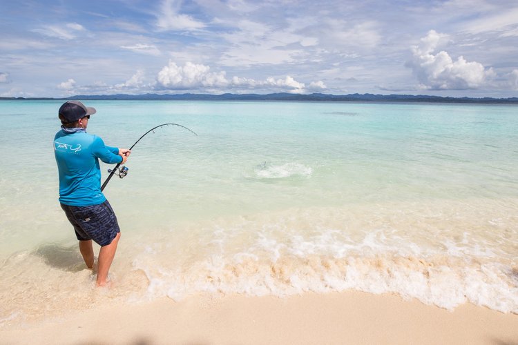 Fish gallery photo 4 from Papatura Island Retreat