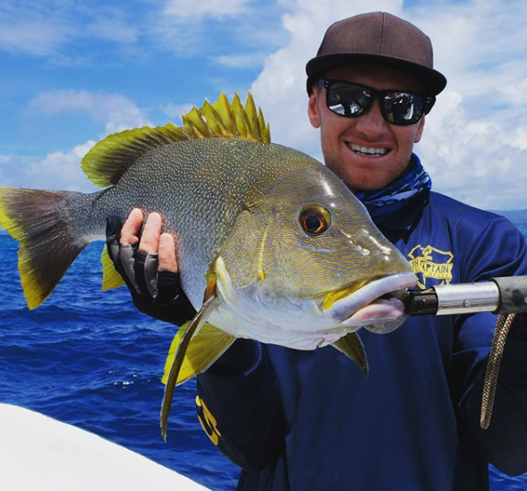 Fish gallery photo 9 from Papatura Island Retreat