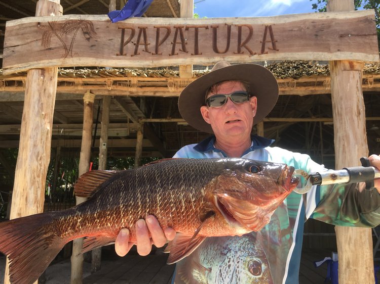 Fish gallery photo 11 from Papatura Island Retreat