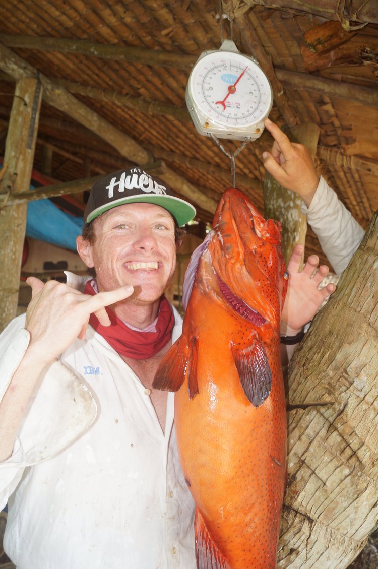 Fish gallery photo 13 from Papatura Island Retreat