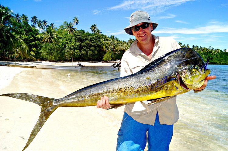 Fish gallery photo 18 from Papatura Island Retreat