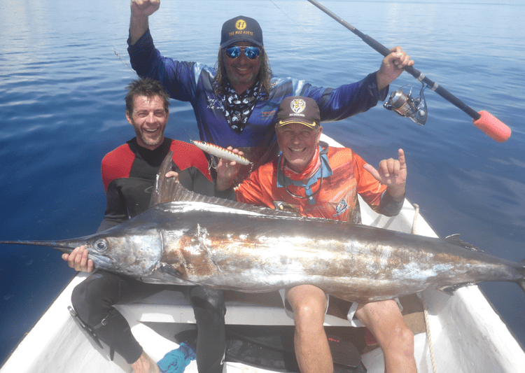 Fish gallery photo 21 from Papatura Island Retreat