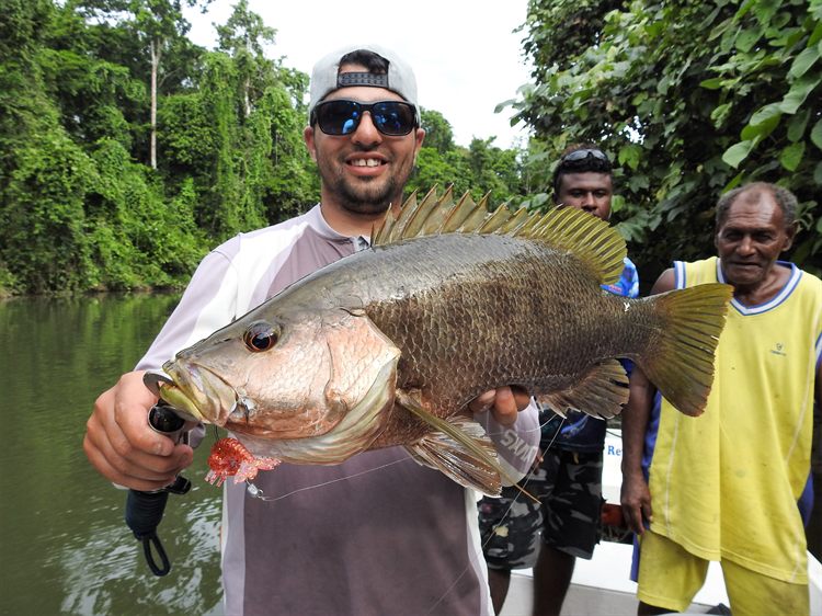 Fish gallery photo 26 from Papatura Island Retreat