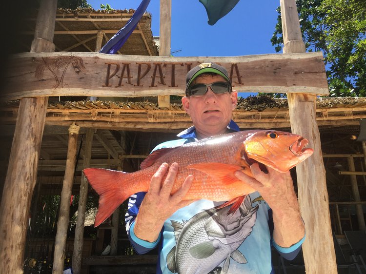 Fish gallery photo 28 from Papatura Island Retreat