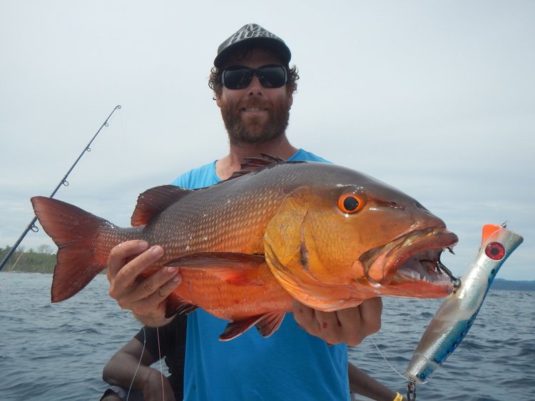 Fish gallery photo 31 from Papatura Island Retreat