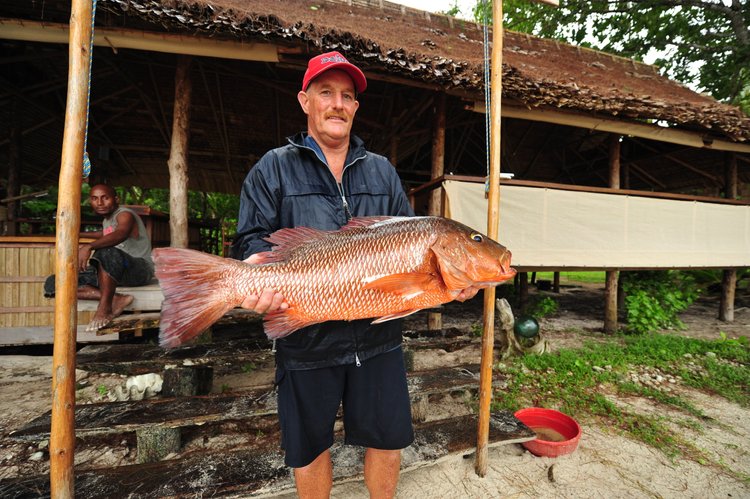 Fish gallery photo 34 from Papatura Island Retreat