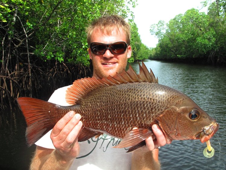 Fish gallery photo 37 from Papatura Island Retreat