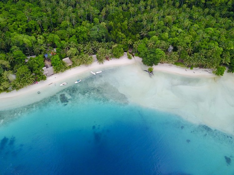 Aerial view of Papatura Island