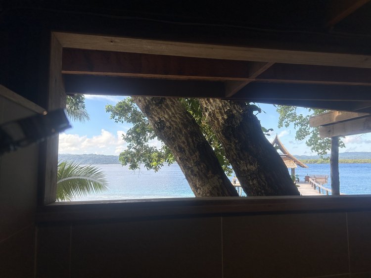 Shower with sea views