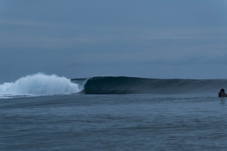 The Mad Hueys in the Solomon Islands