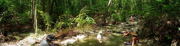 Rainforest track on Papatura