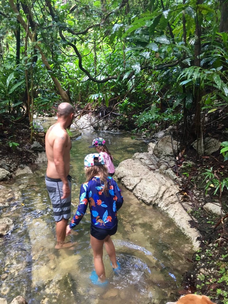 Waterfall on Papatura Island