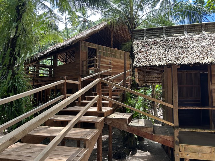 Tree-top terrace at the Rainforest Lodge