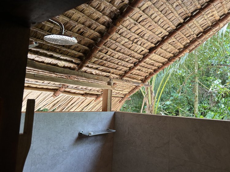 Shower with rainforest view