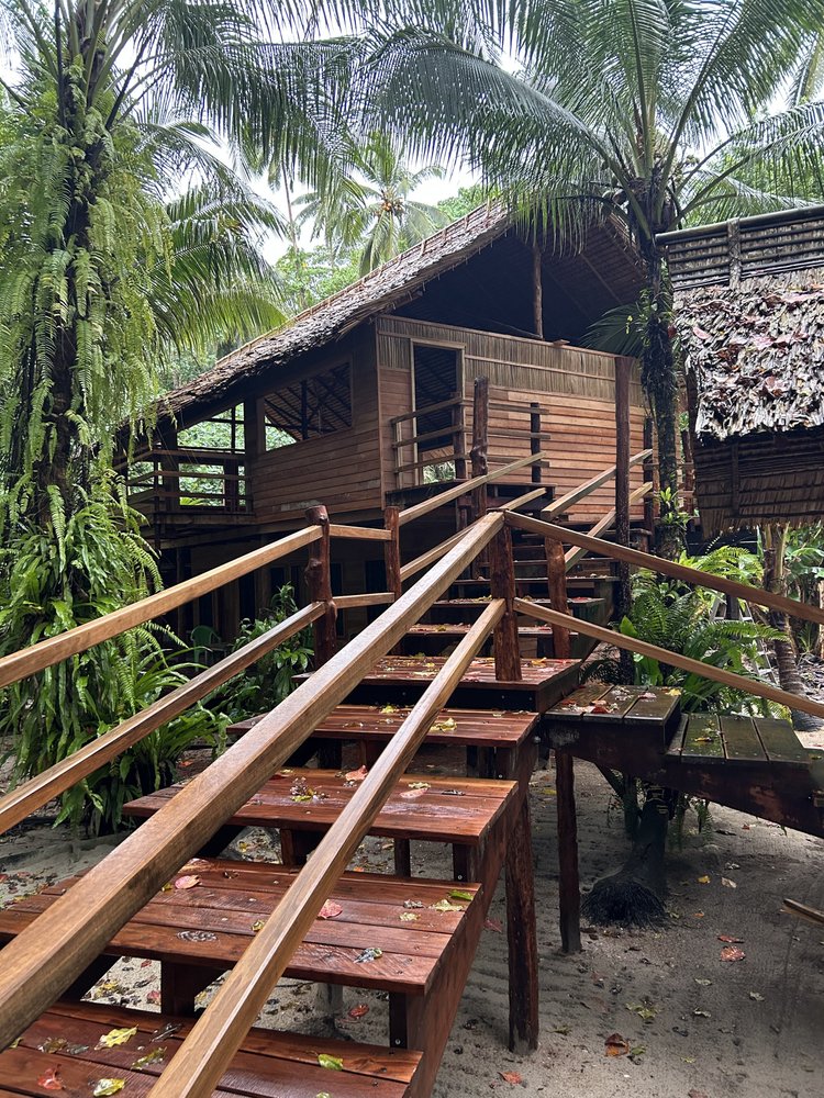 Stairs to the tree top terrace