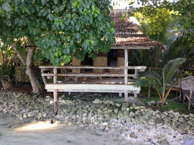 The island photo 7 from Papatura Island Retreat