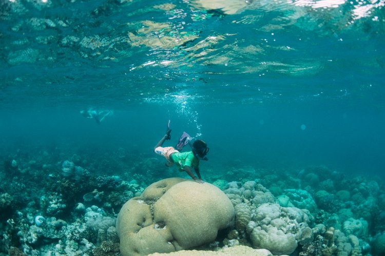 Snorkelling over coral at Papatura
