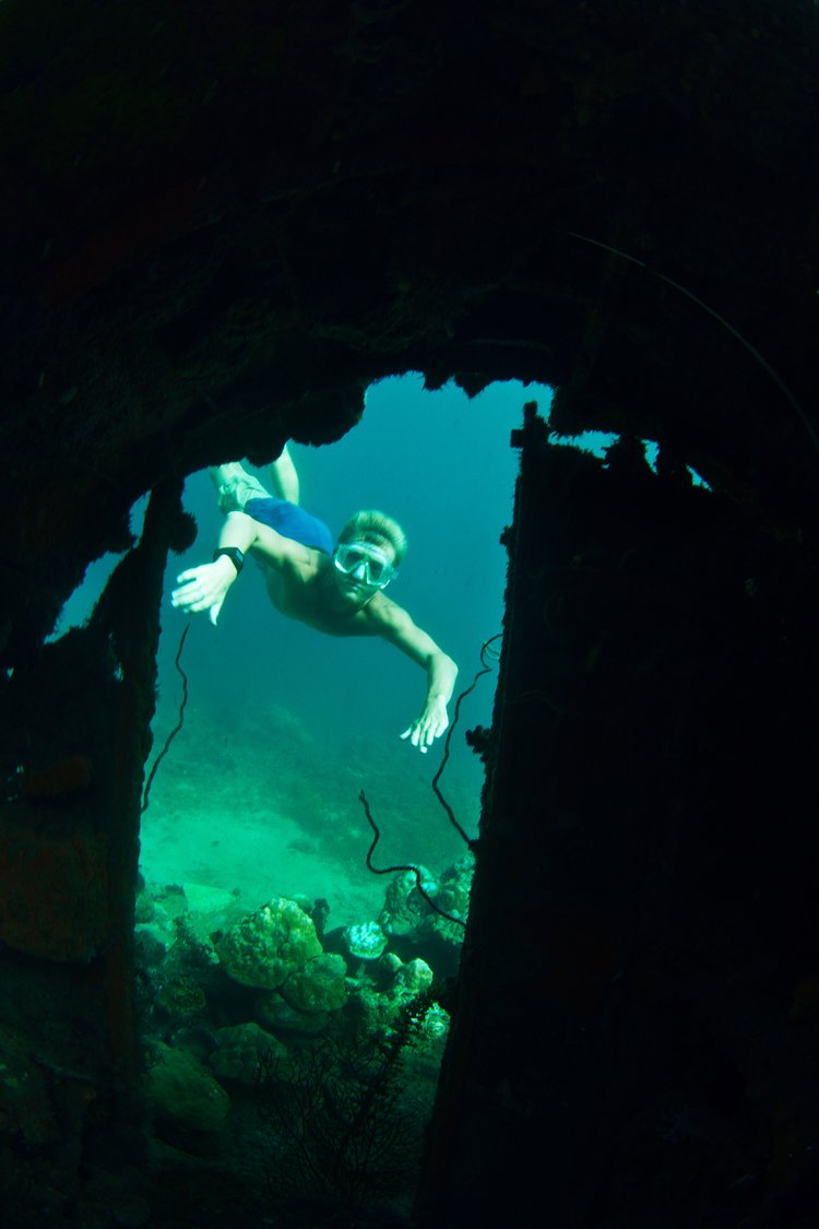 Reef life at Papatura