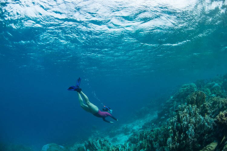 Clear water over the house reef