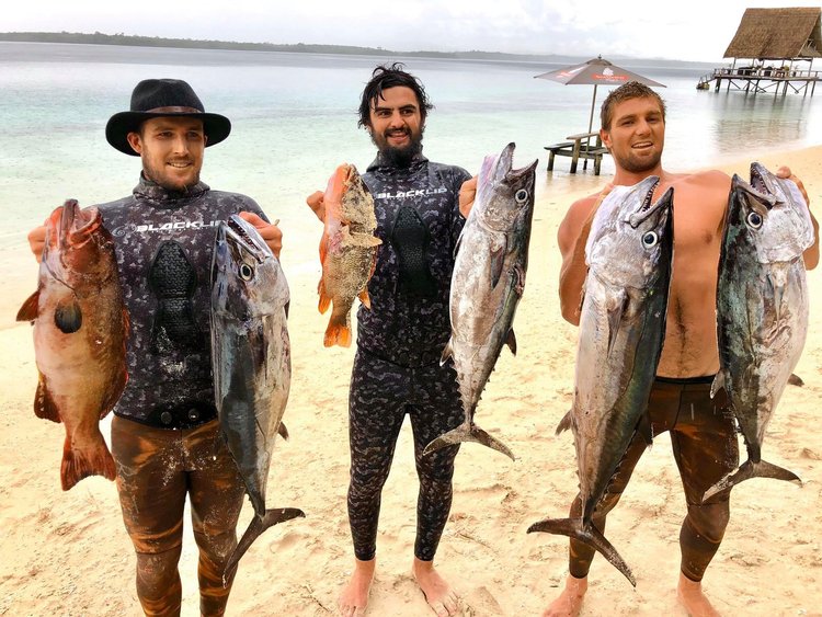 Spanish mackerel and coral trout speared near Papatura