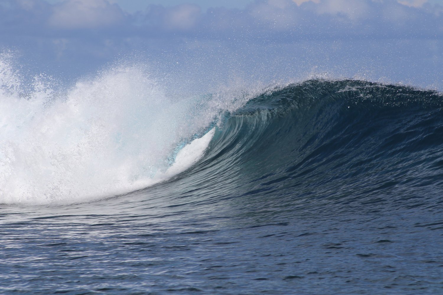 Surf gallery at Papatura Island Retreat