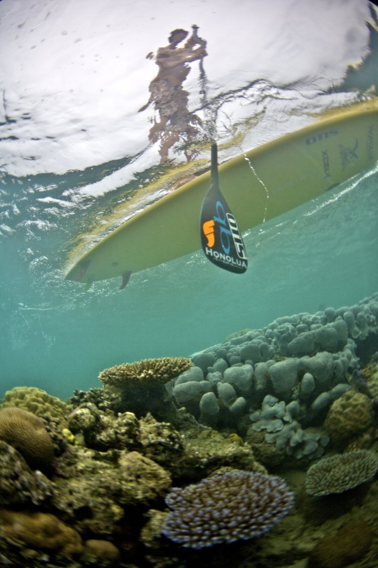 Surf gallery photo 18 from Papatura Island Retreat