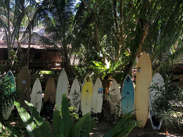 The board rack at Papatura