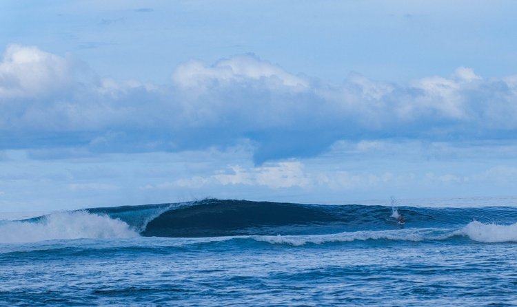 Surf gallery photo 24 from Papatura Island Retreat
