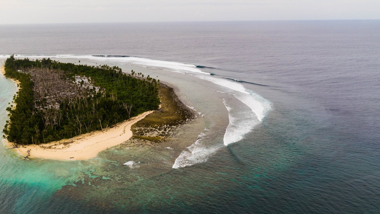 Aerial view of a reef break peeling along an island near Papatura